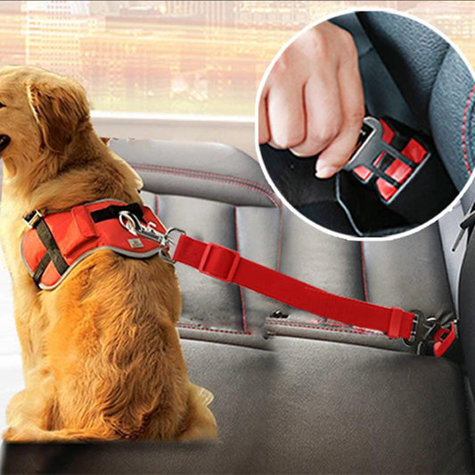 Cintura di Sicurezza per Cani in Auto